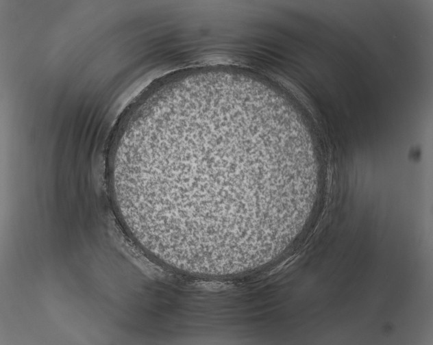 X0000115541023200912181524