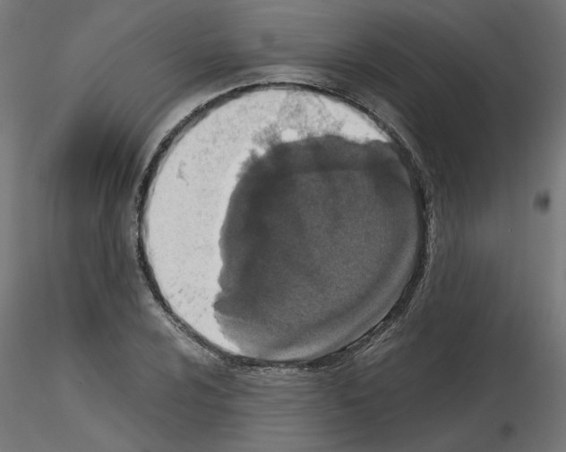 X0000115541024200912181524