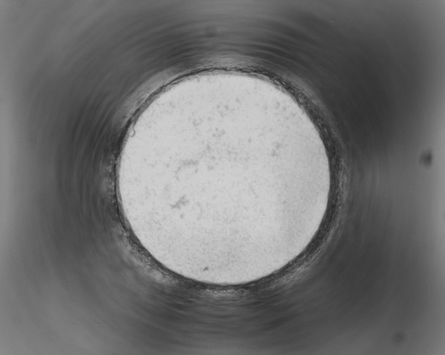 X0000115541025200912181524