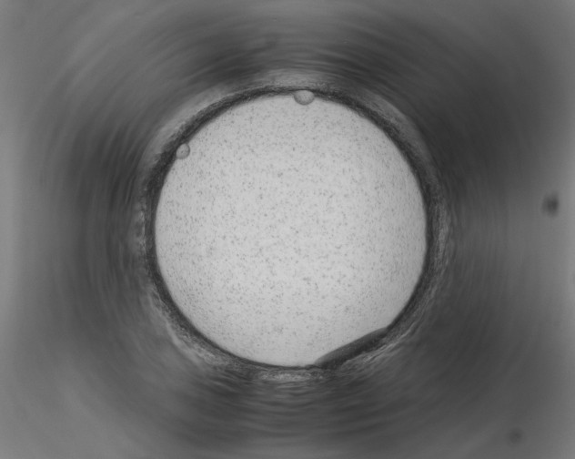 X0000115541027200912181524