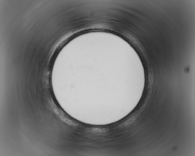 X0000115541029200912181524