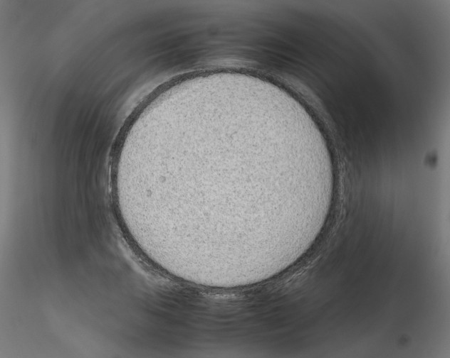 X0000115541031200912181524