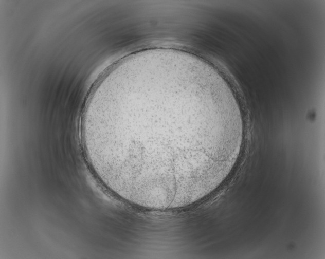 X0000115541032200912181524