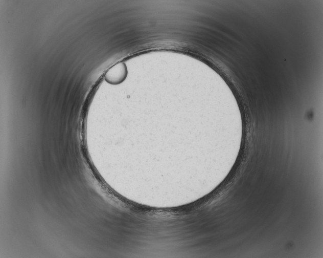X0000115541034200912181524