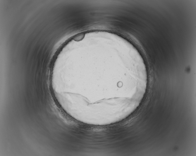 X0000115541035200912181524