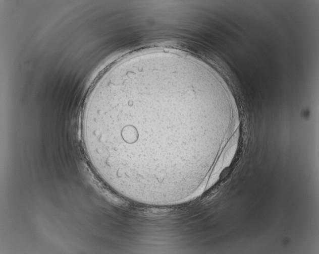 X0000115541036200912181524