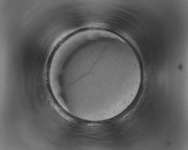 X0000115541037200912181524