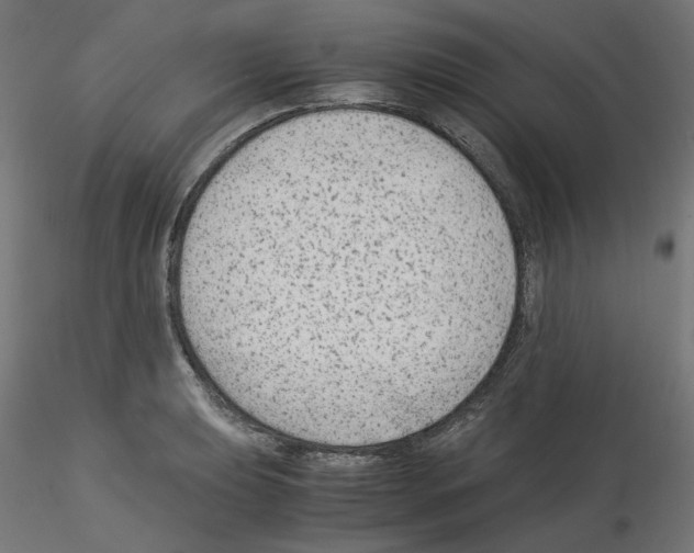 X0000115541039200912181524