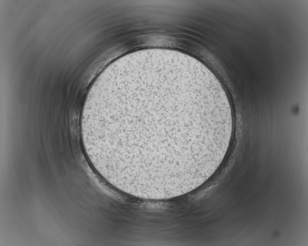 X0000115541041200912181524