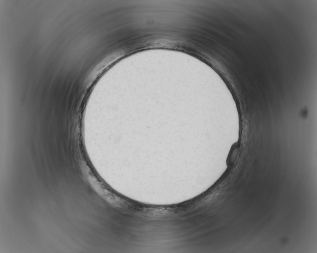 X0000115541042200912181524