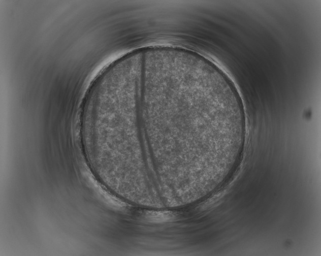X0000115541045200912181524