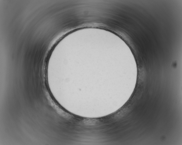 X0000115541046200912181524