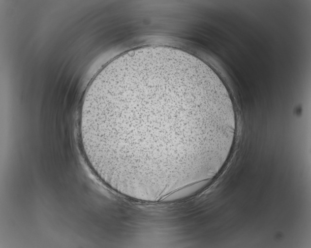 X0000115541048200912181524