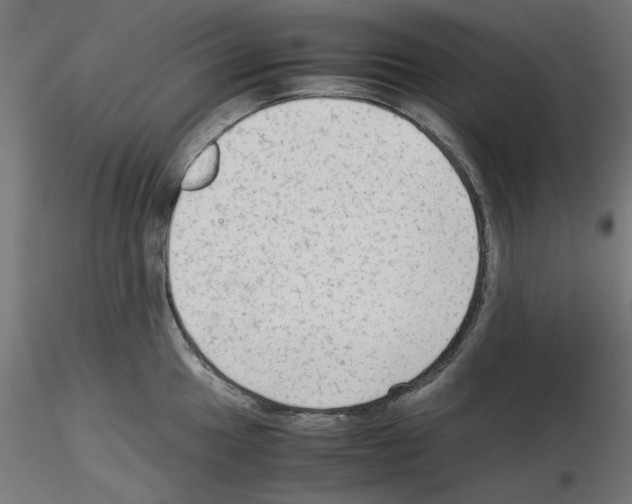 X0000115541049200912181524