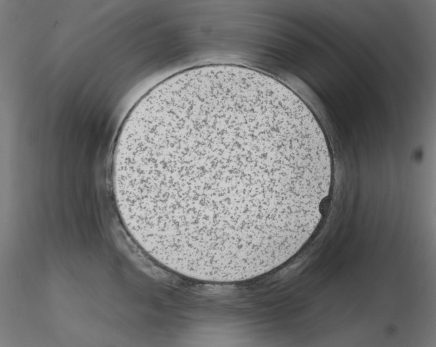 X0000115541052200912181525
