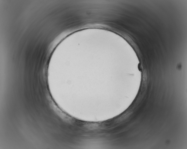 X0000115541054200912181525