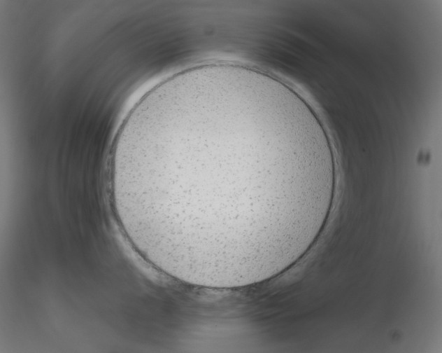 X0000115541056200912181525
