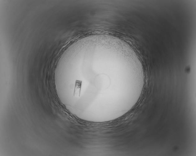 X0000115541057200912181524