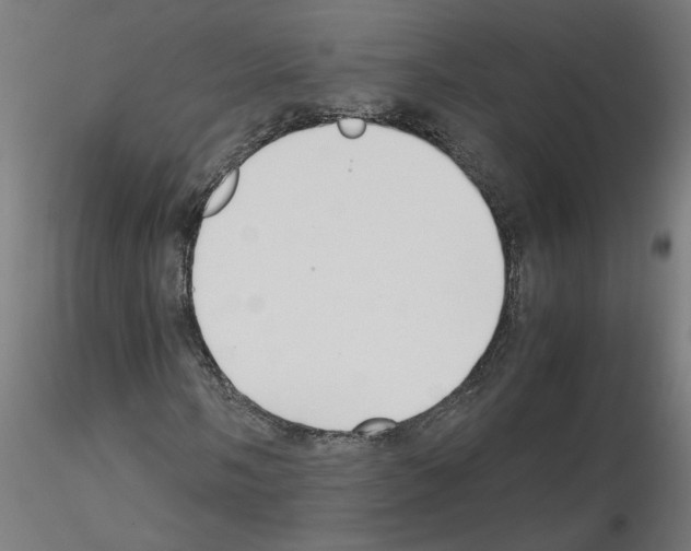 X0000115541058200912181524