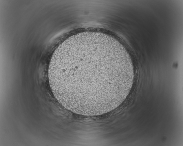 X0000115541063200912181524