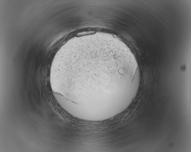 X0000115541064200912181524