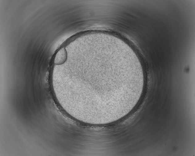 X0000115541066200912181524