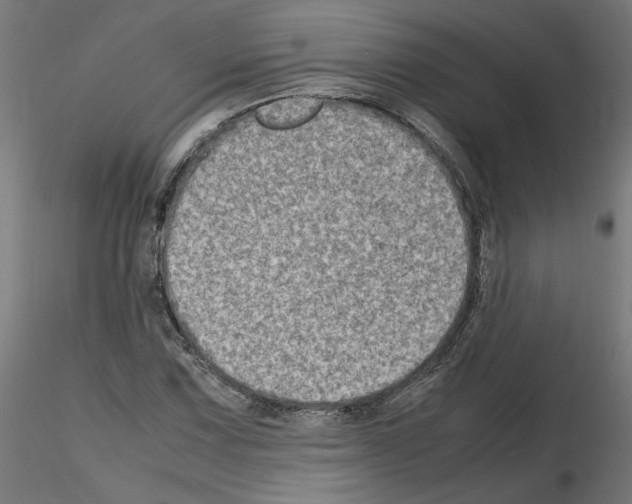 X0000115541067200912181524