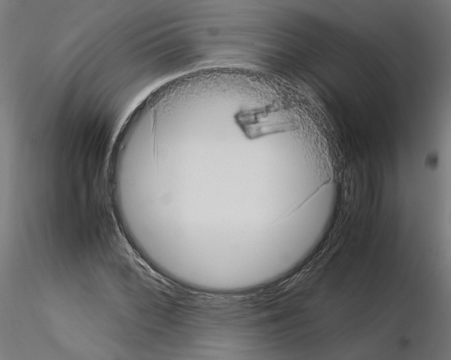 X0000115541068200912181524