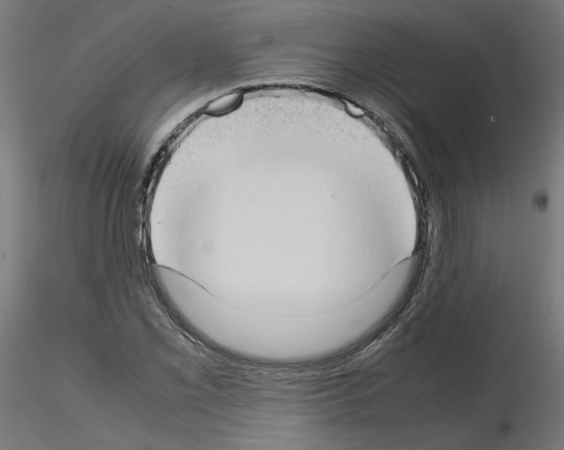 X0000115541069200912181524