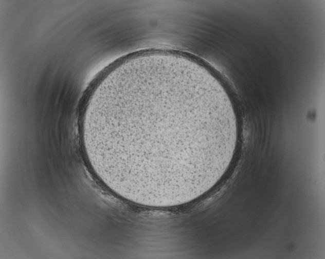 X0000115541070200912181524