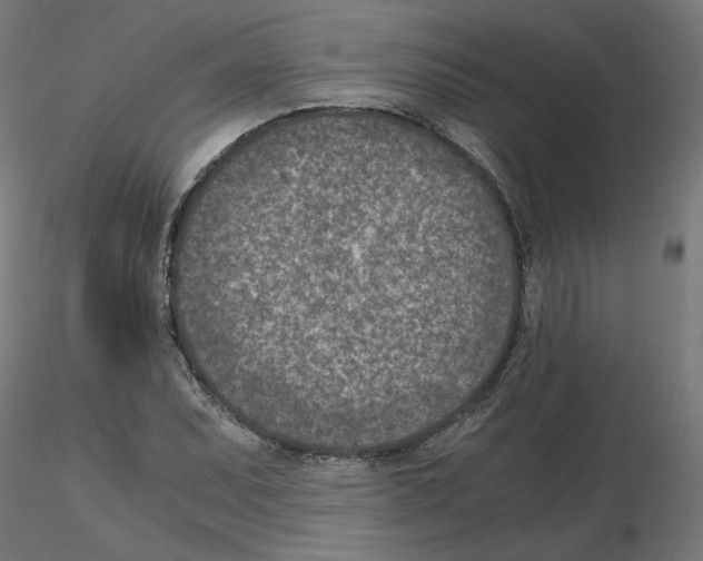 X0000115541071200912181524