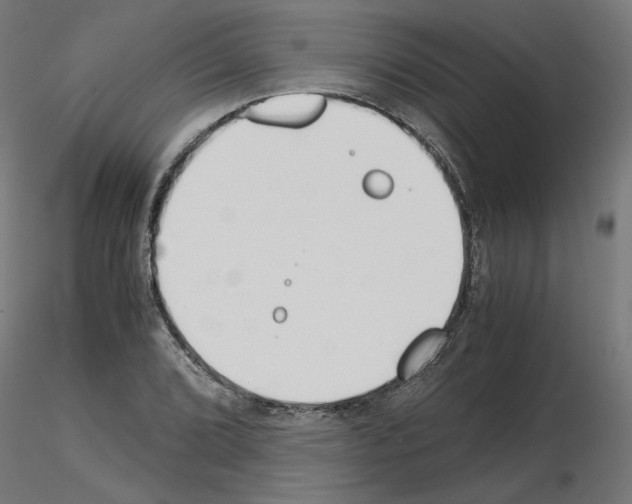 X0000115541072200912181524