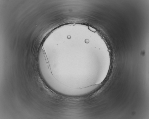 X0000115541073200912181524