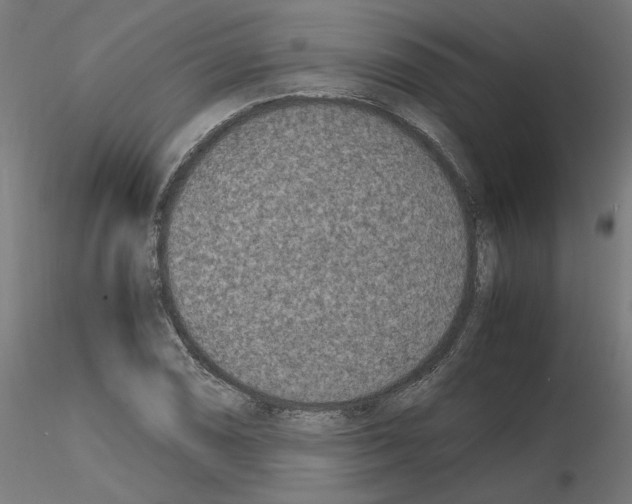 X0000115541074200912181524