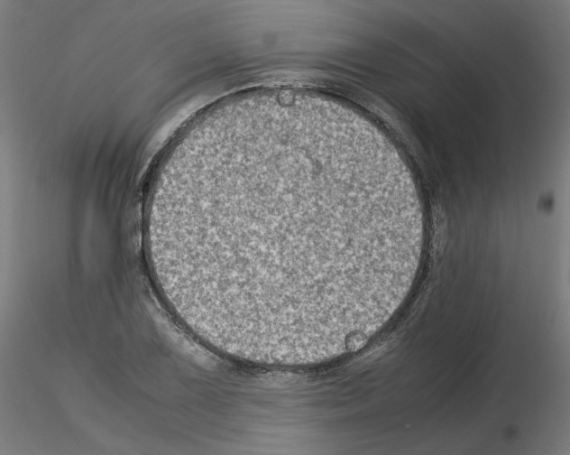 X0000115541075200912181524