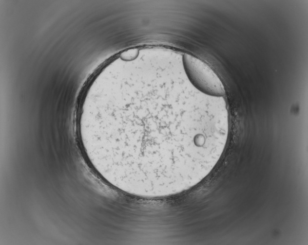 X0000115541076200912181524