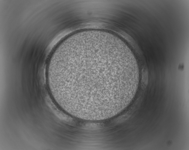 X0000115541078200912181524