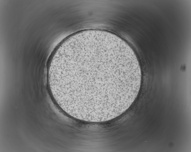 X0000115541079200912181524