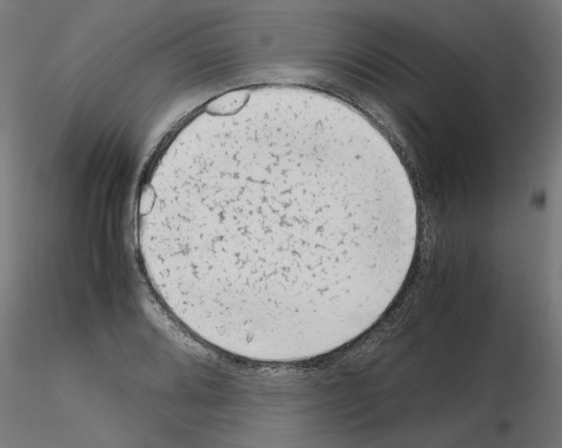 X0000115541080200912181524