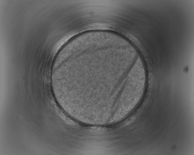 X0000115541081200912181524