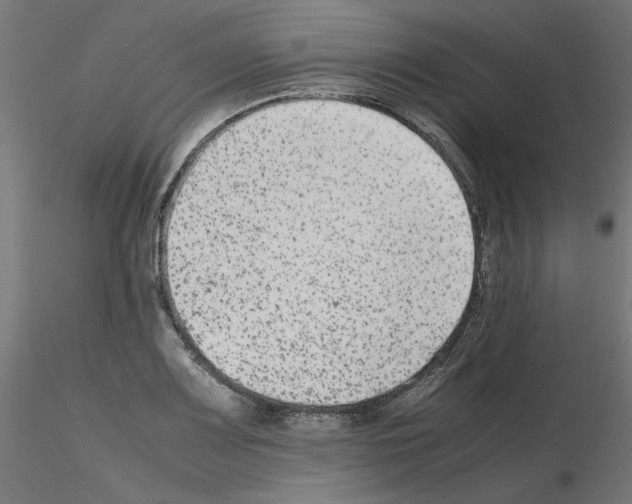 X0000115541083200912181524
