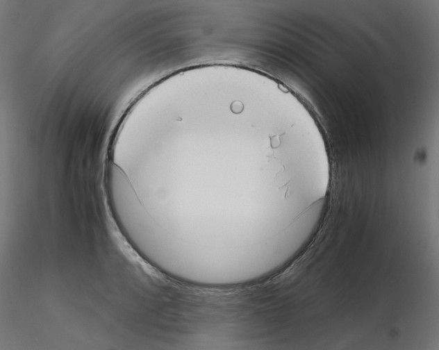 X0000115541088200912181523
