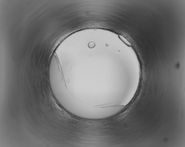 X0000115541089200912181523