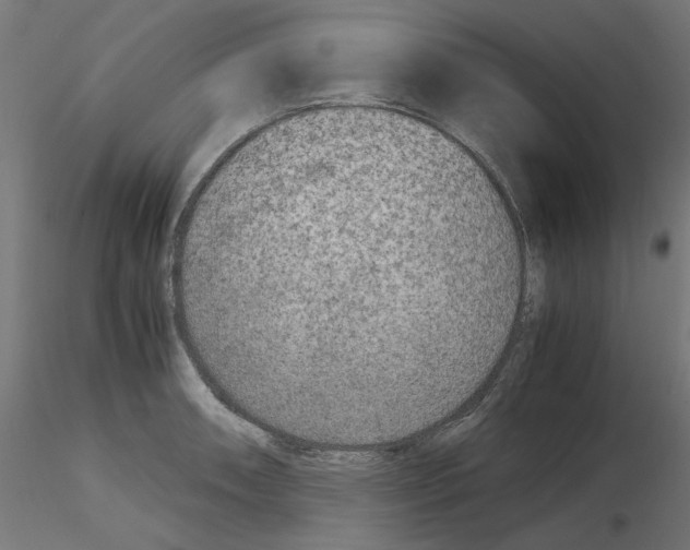 X0000115541090200912181523