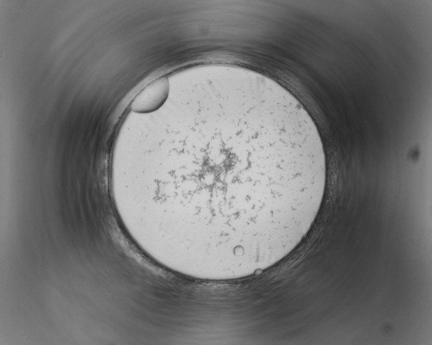 X0000115541092200912181523