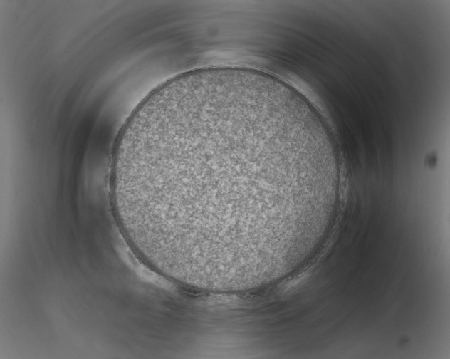 X0000115541094200912181523