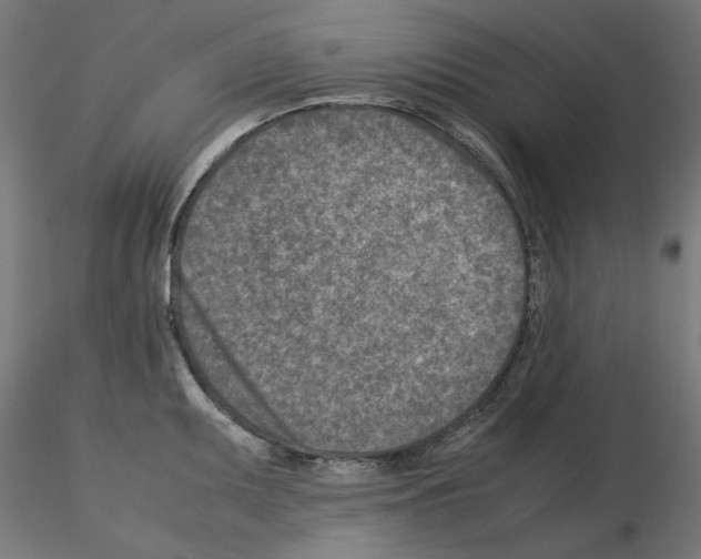 X0000115541095200912181523