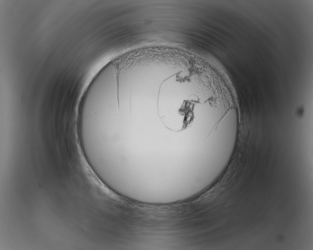 X0000115541096200912181523