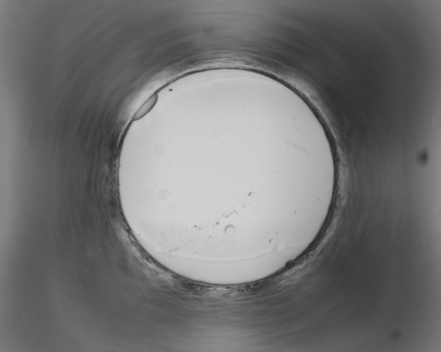 X0000115541097200912181523