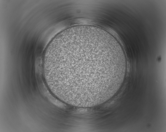 X0000115541098200912181523